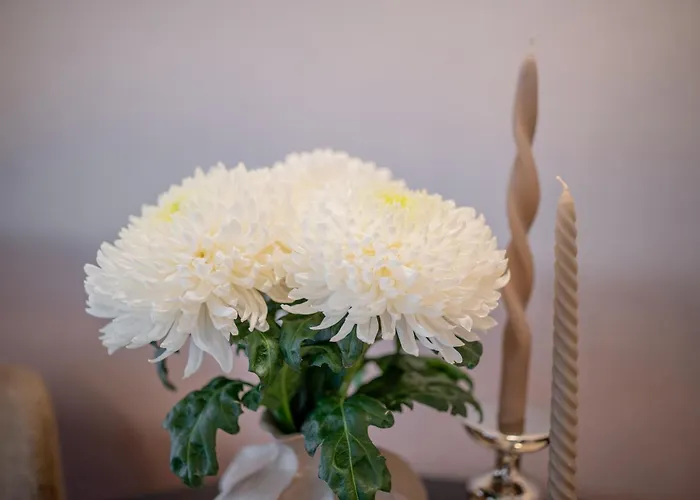 Castle&river Luxe-vydrica Apartmán *