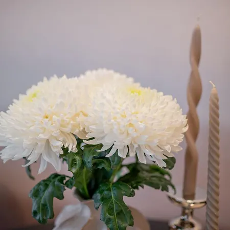 Castle&river Luxe-vydrica Appartamento *